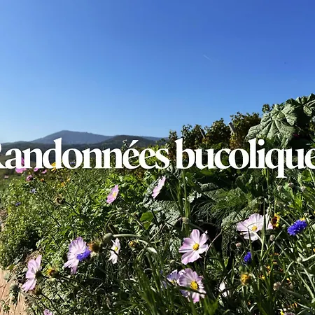 Le Praelatenberg - La Maison Des Vignerons Appartamento *